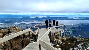 Tasmania tasmaia