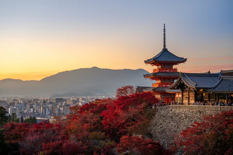 Japan – Spring Highlights Trip